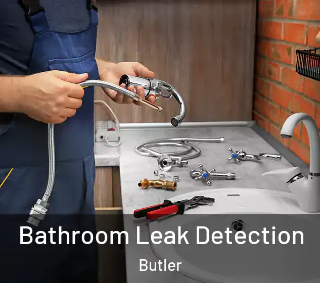  Bathroom Leak Detection Butler