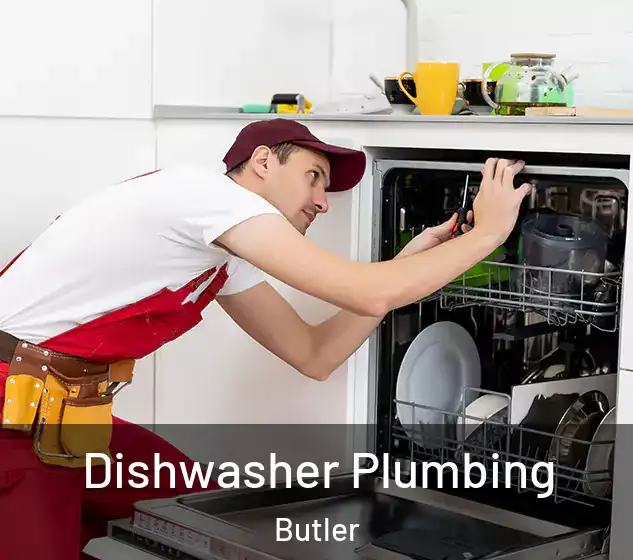  Dishwasher Plumbing Butler