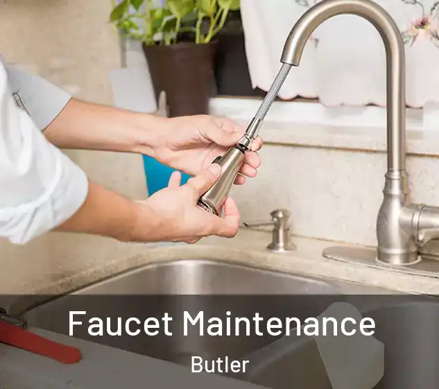  Faucet Maintenance Butler