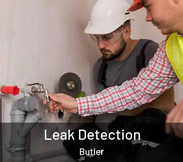  Leak Detection Butler