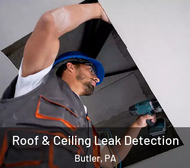  Roof & Ceiling Leak Detection Butler, PA
