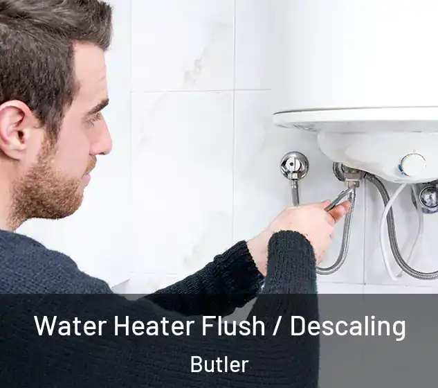  Water Heater Flush / Descaling Butler