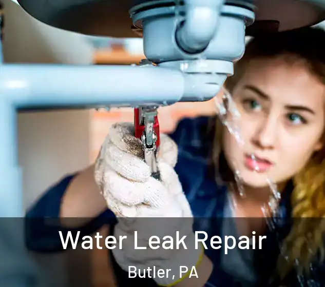  Water Leak Repair Butler, PA