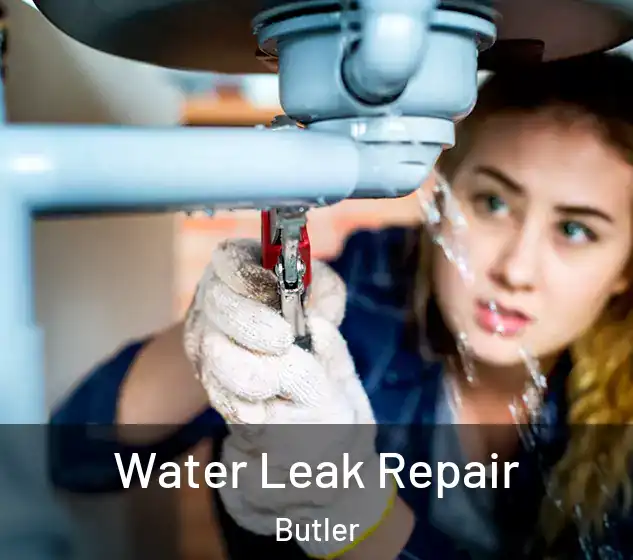  Water Leak Repair Butler
